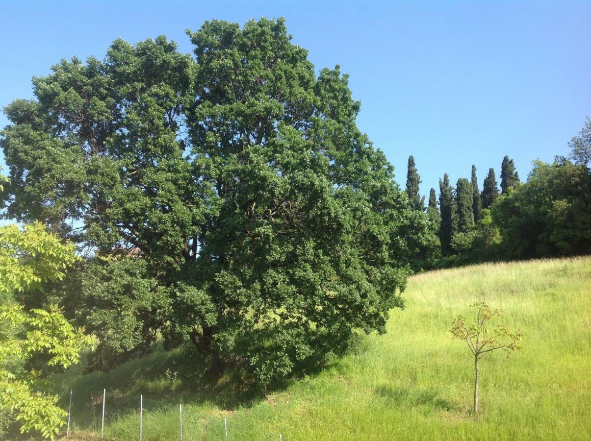B&B Smile Fiorano Modenese Exterior photo